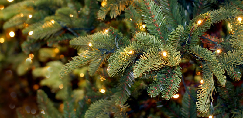 closeup of lights on a christmas tree